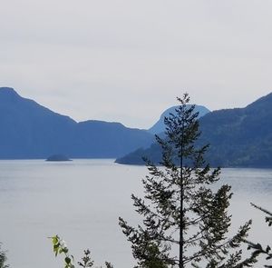 Meet your Posher, Ell